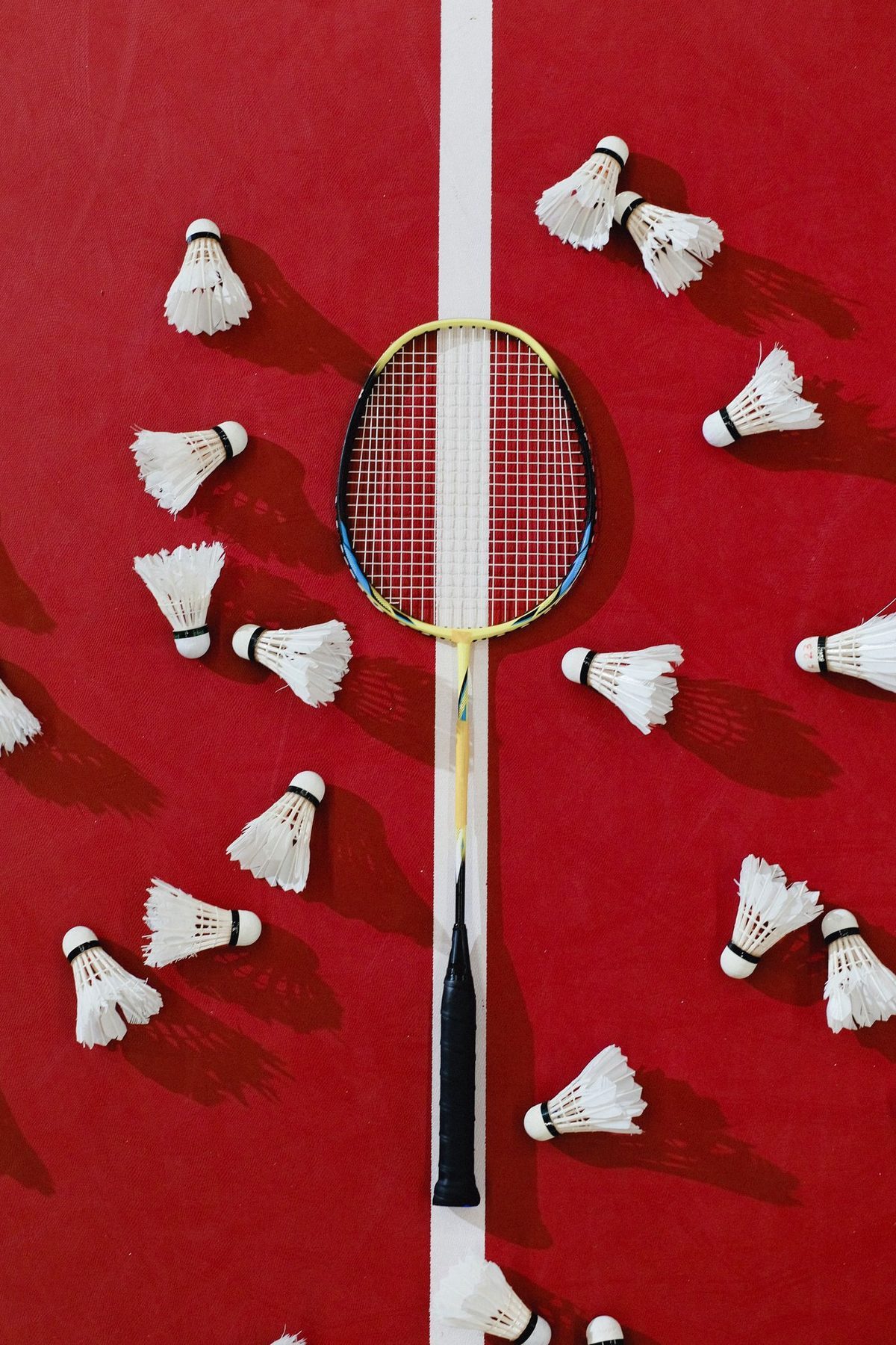 Shuttlecock